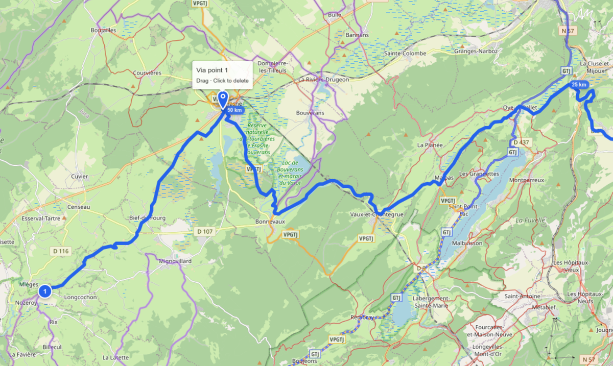 Via-point needle on the map